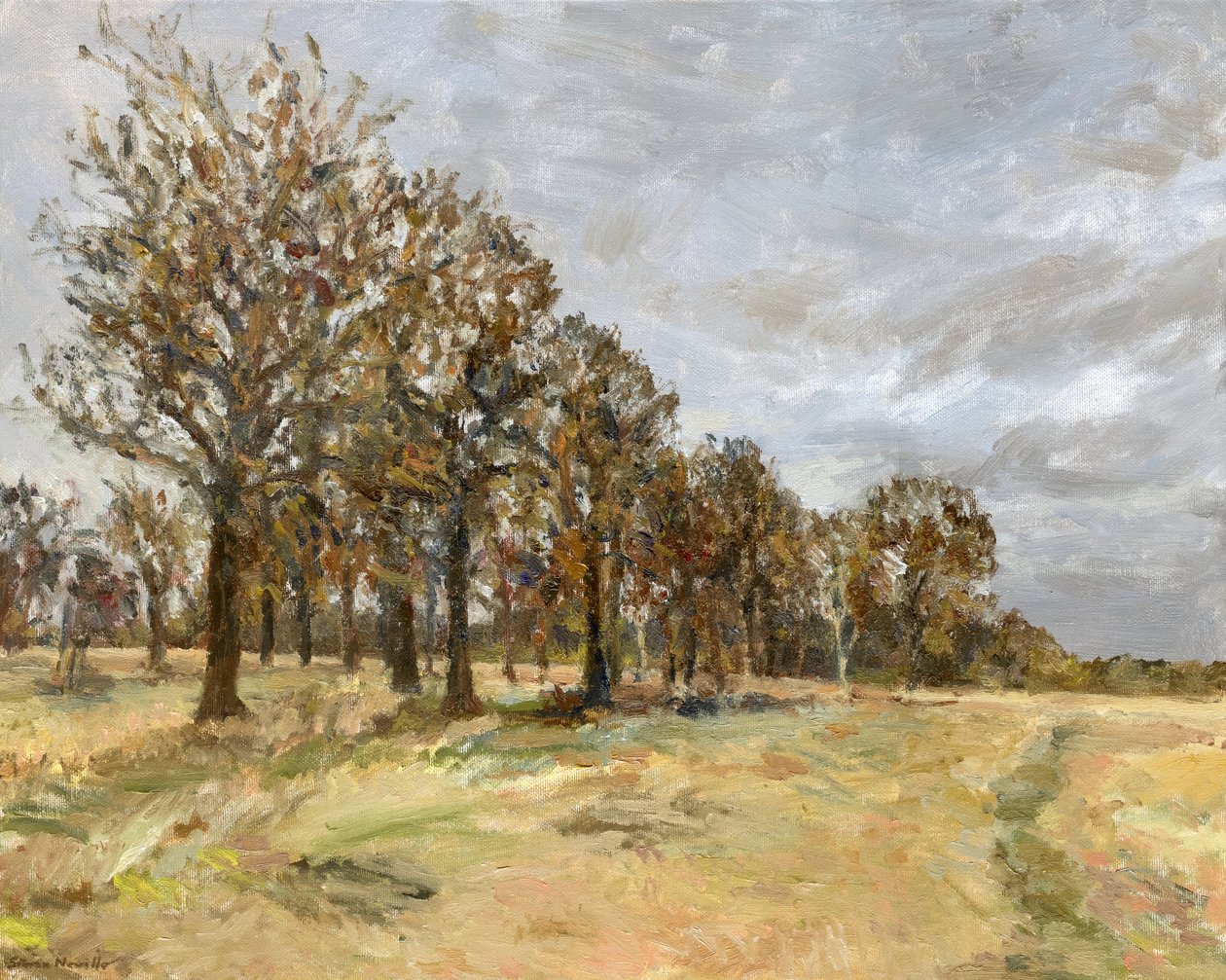 Les, Richmond Park č. 6, 2022 (olej na plátně) od Simon Neville