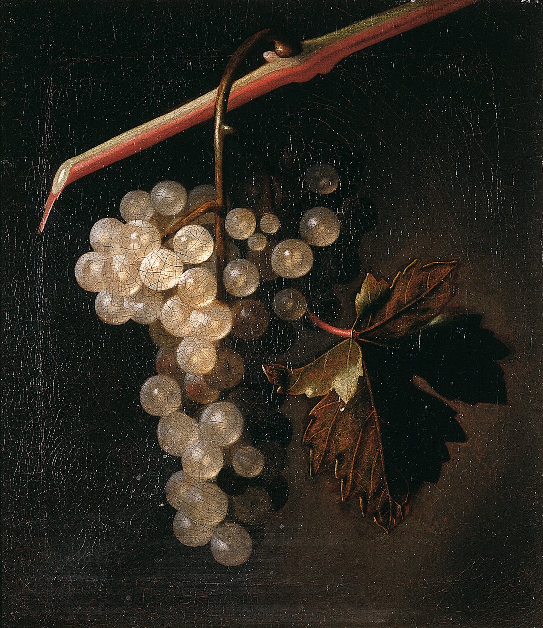 Hrozen visící před kamennou zdí, 1709 od Simon Peeterz Verelst