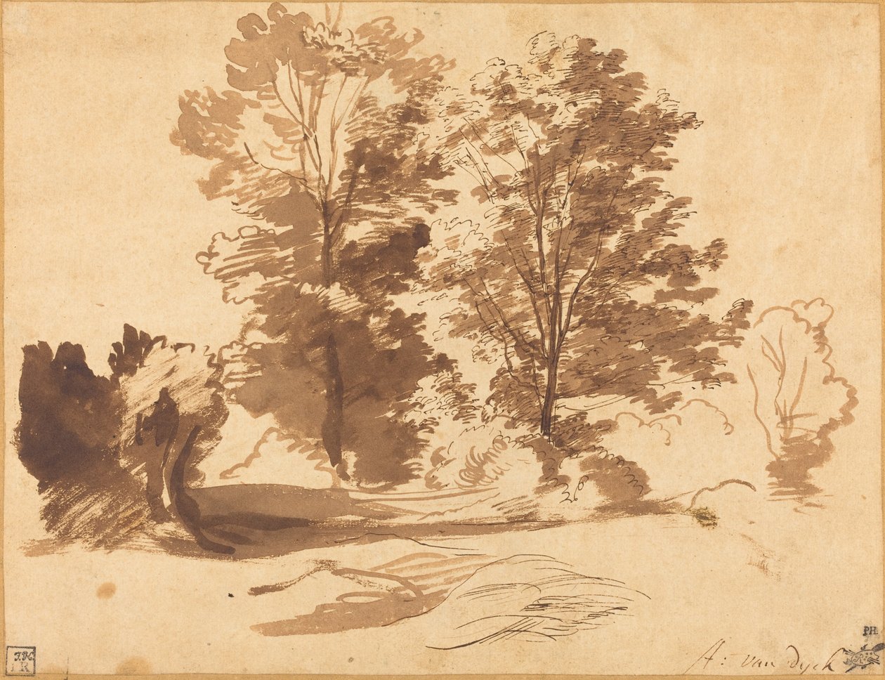 Okraj lesa od Sir Anthony van Dyck