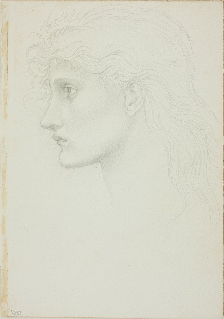 Hlava dívky čelem doleva od Sir Edward Burne Jones