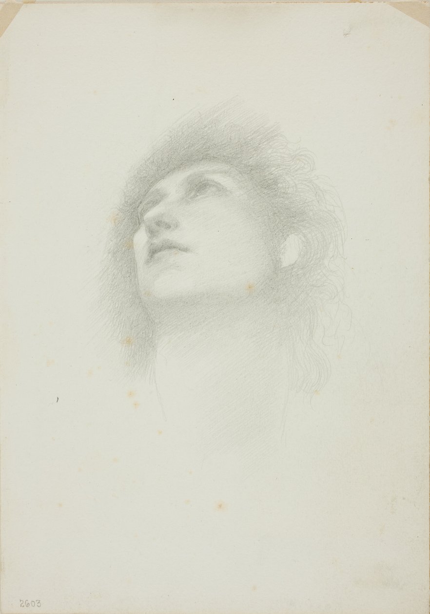 Hlava ženy s tváří vzhůru od Sir Edward Burne Jones
