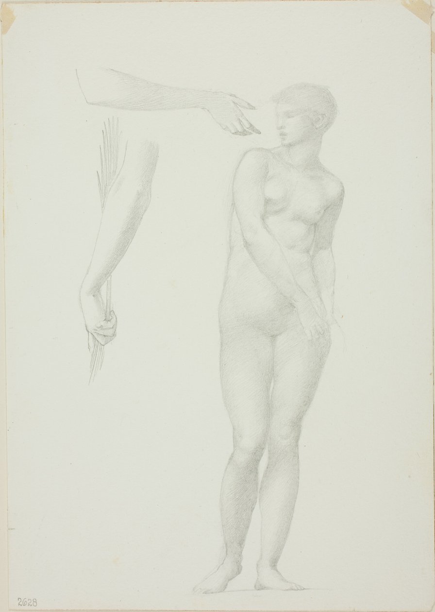 Stojící ženský akt a náčrtky zbraní od Sir Edward Burne Jones