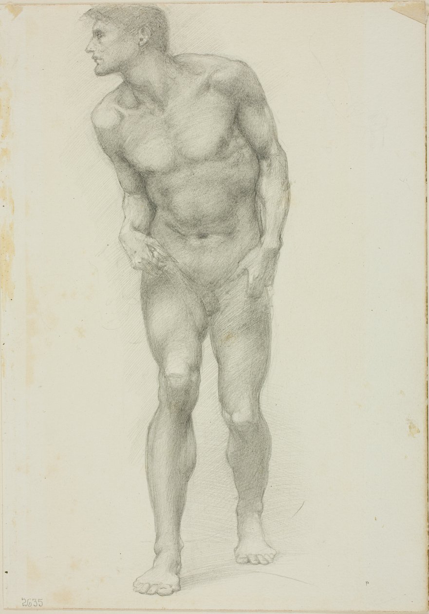 Stojící nahý muž s tváří v profilu od Sir Edward Burne Jones