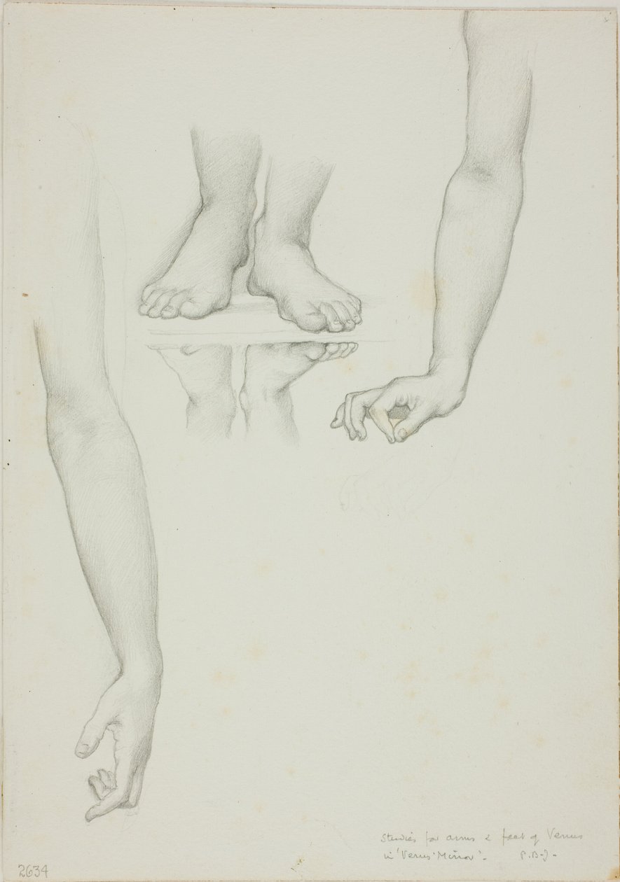 Studie pro Mirror of Venus: Arms and Feet of Venus od Sir Edward Burne Jones