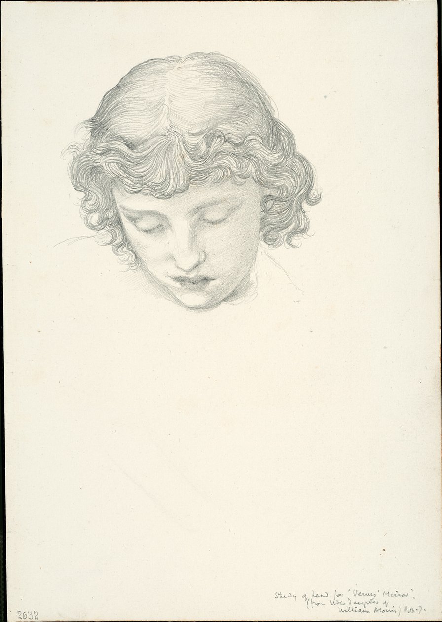 Studie pro Mirror of Venus: Head od Sir Edward Burne Jones