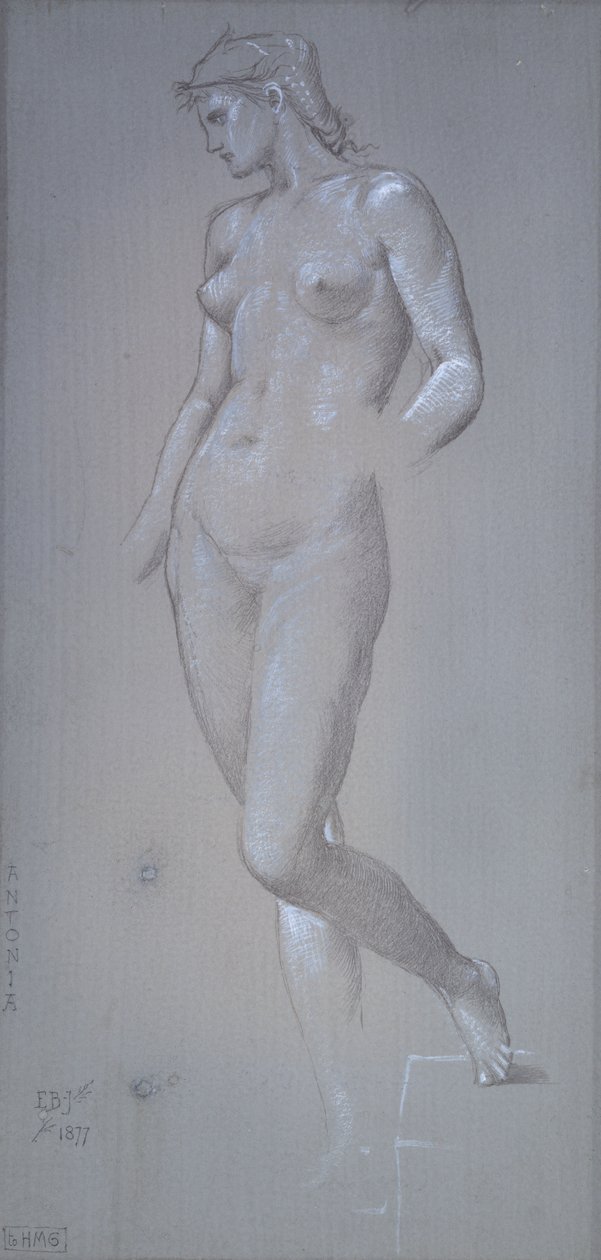 Antonia, 1877 od Sir Edward Coley Burne Jones