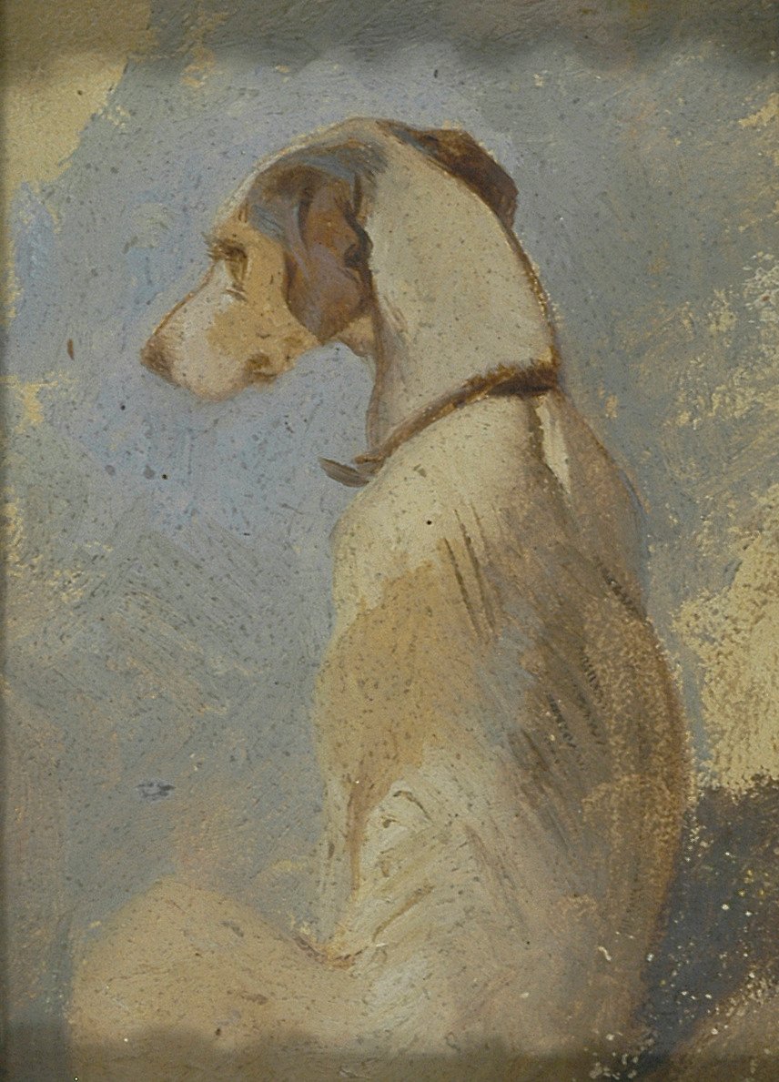 Studie chrta od Sir Edwin Henry Landseer