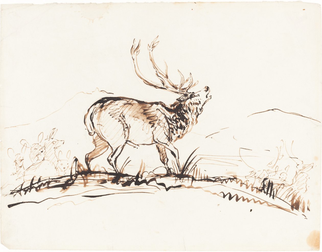 Řvoucí jelen od Sir Edwin Landseer