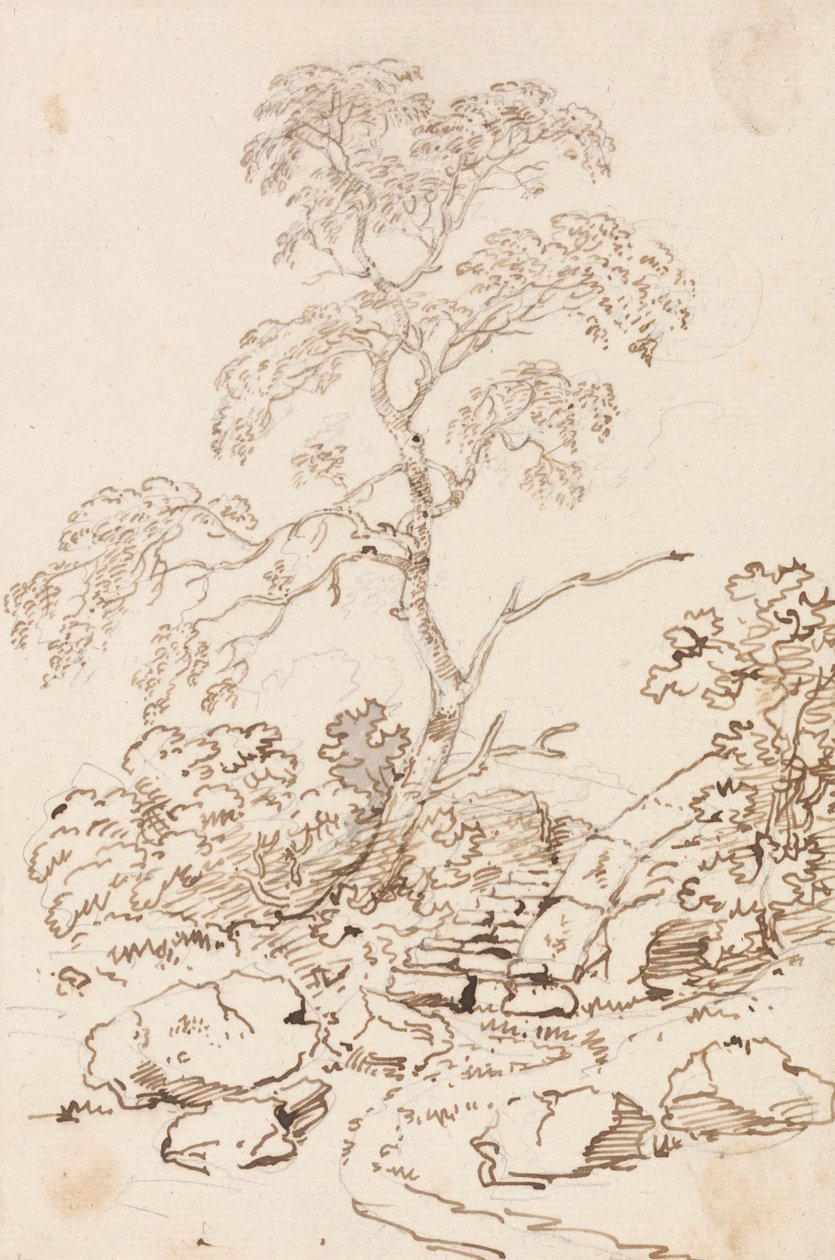 Strom po krocích od Sir George Howland Beaumont seventh Baronet
