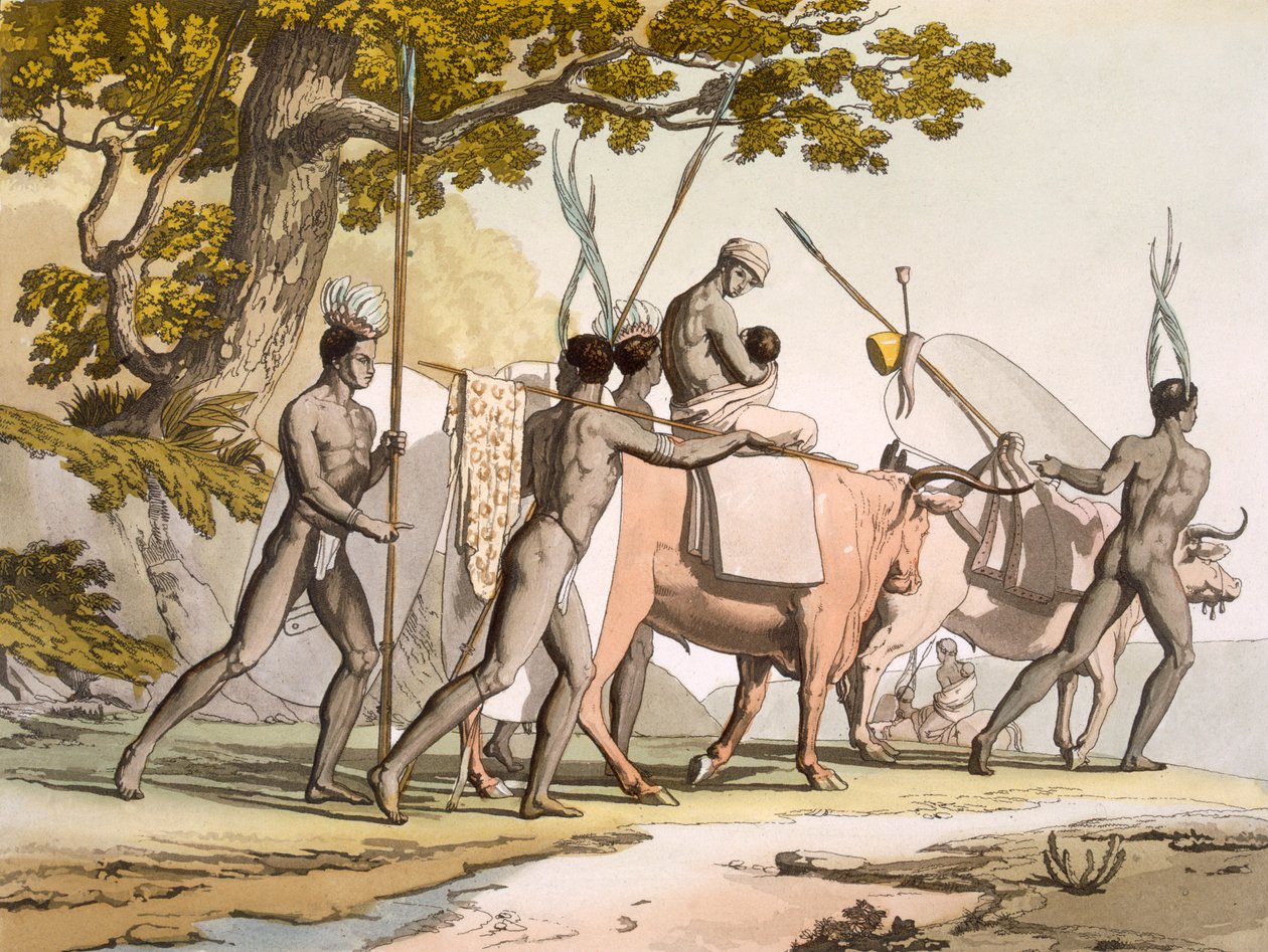Korah Hottentots z Cape v pohybu, svazek II, c1820-40. od Sir John Barrow