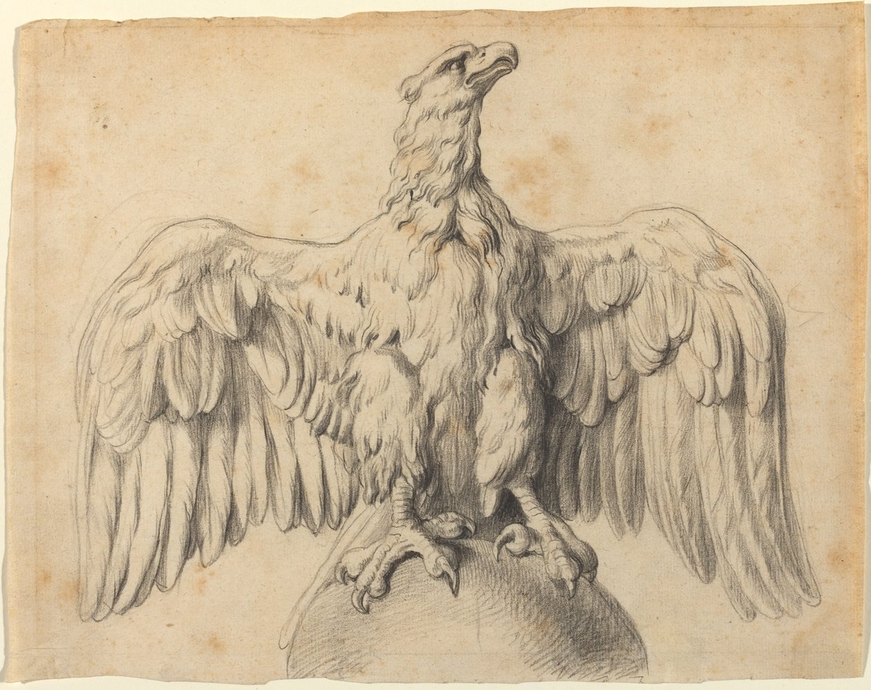 Kapitolský orel od Sir Peter Paul Rubens