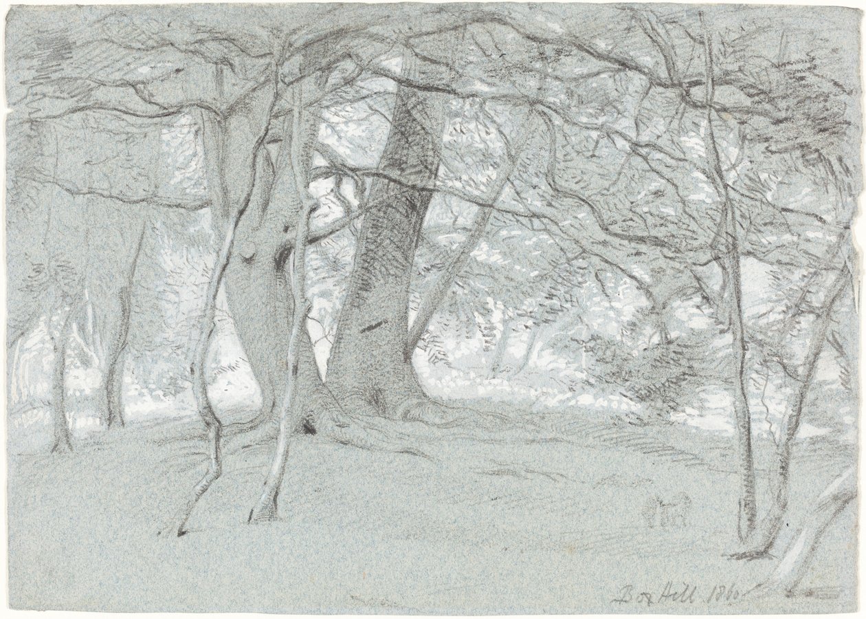 Stromy na Box Hill od Sir William Blake Richmond