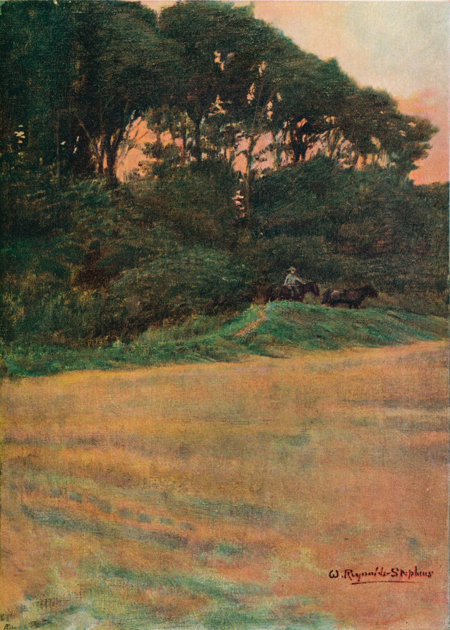 Studie, c1900 1903-1904 od Sir William Reynolds Stephens