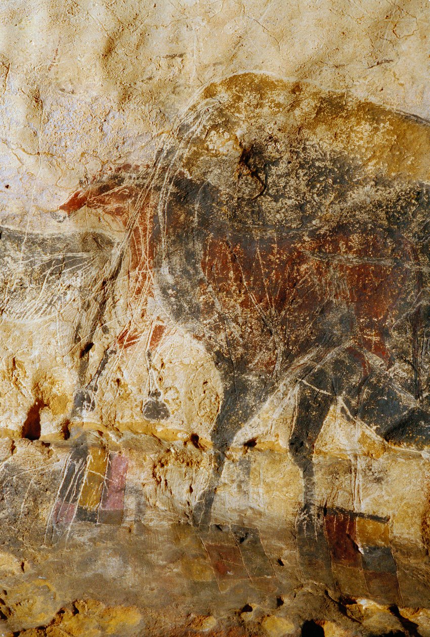 Detail ryté malby koňských hlav, Lascaux. od Sisse Brimberg