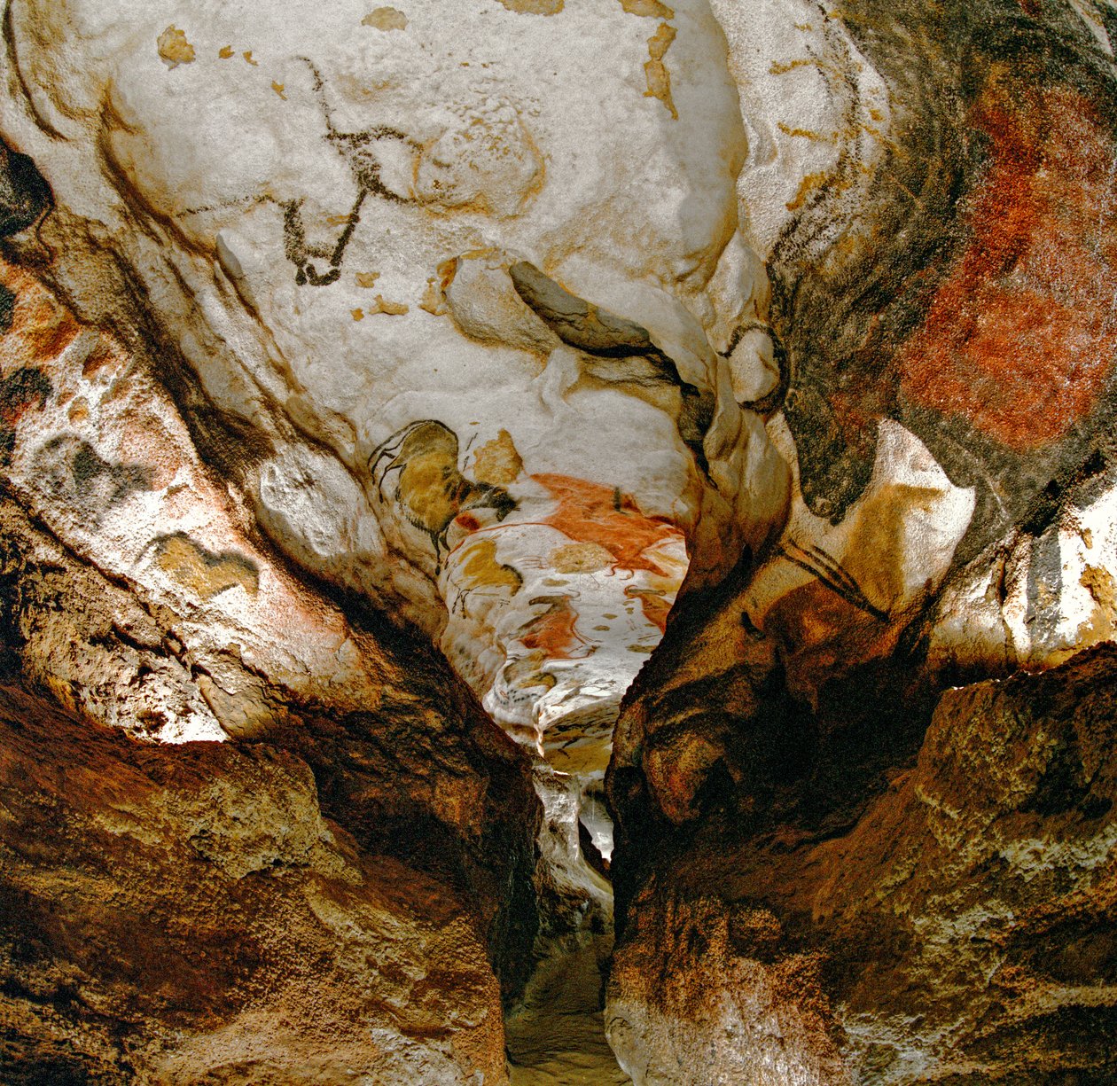 Osová galerie zobrazuje vyhynulé zubry na stropě jeskyně Lascaux ve Francii. od Sisse Brimberg