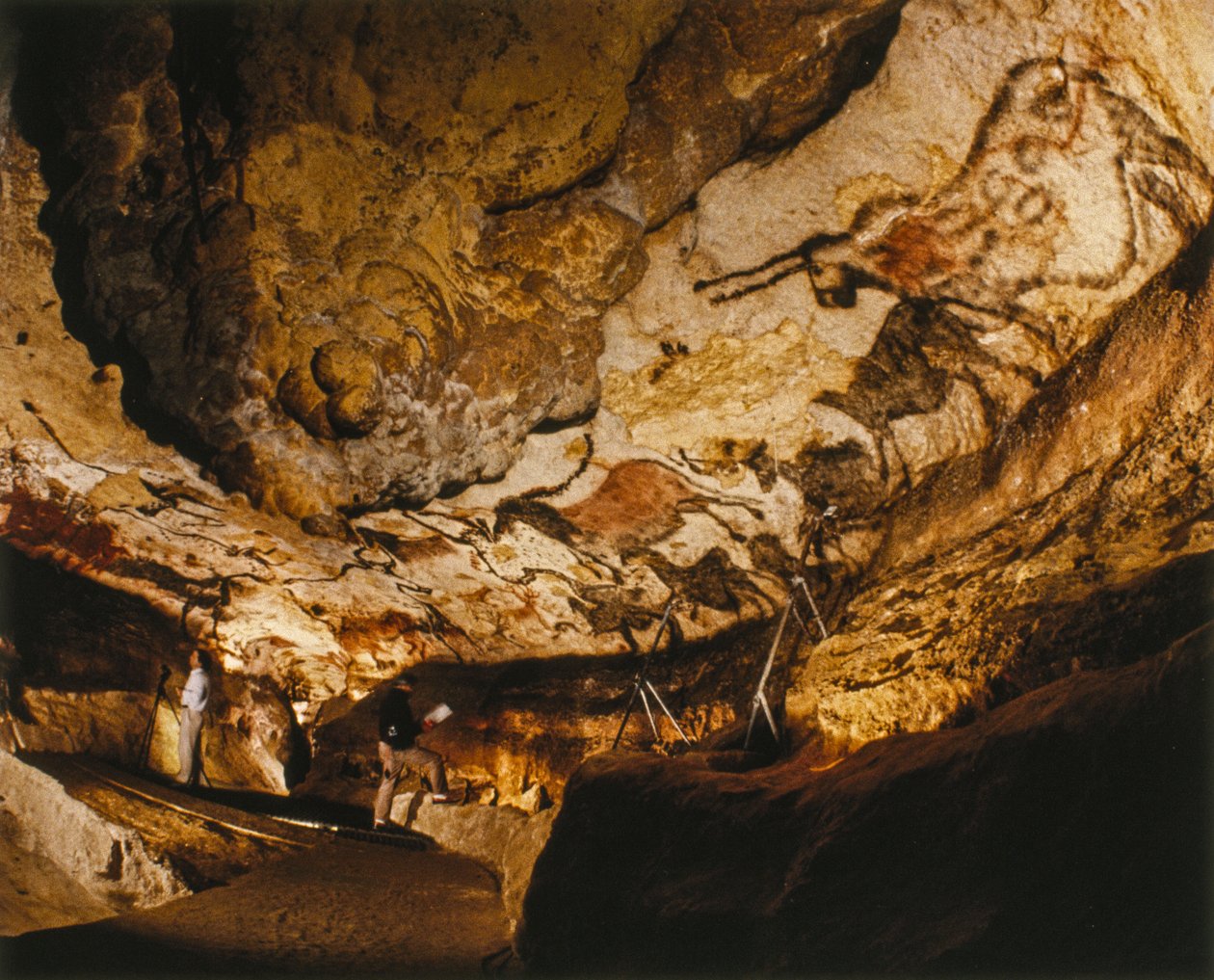 Bájný jednorožec z Lascaux a další malby z Lascaux, které vznikly před více než 17 000 lety. od Sisse Brimberg
