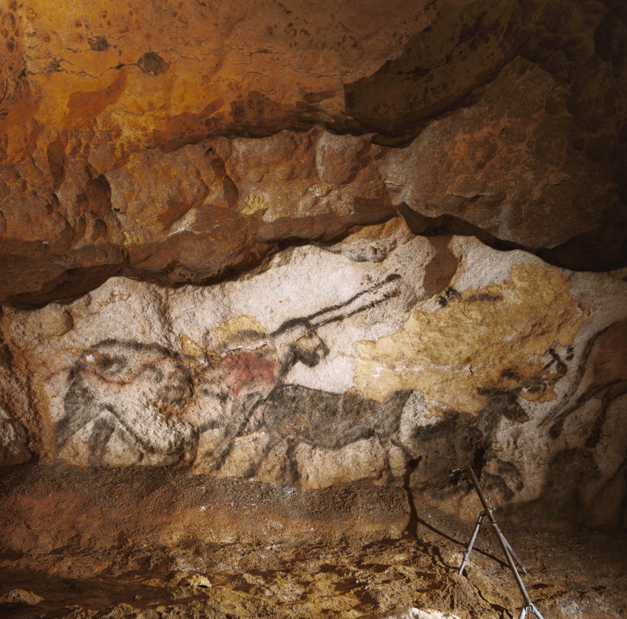 Bájný jednorožec z Lascaux namalovaný před více než 17 000 lety lemuje bílý kalcitový... od Sisse Brimberg