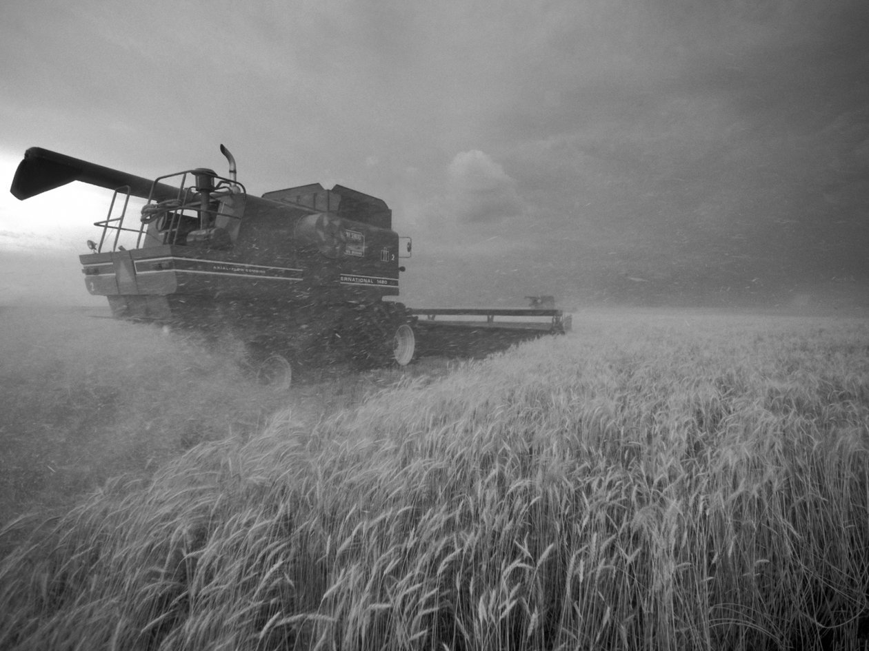 Spojené státy americké, Kansas: Kansas, sklizeň pšenice za soumraku v létě, 2022 (foto) od Sisse Brimberg