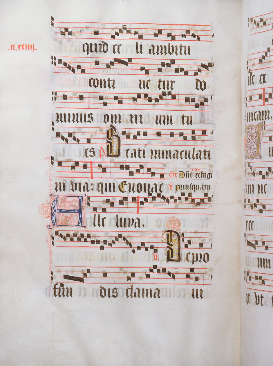 Ms 432 Temporal používaný sestrami z Kongregace karmelitek z Brugg, napsaný sestrou Margaritou Bruyneweovou, 1505 od Sister Cornelia Wulfekkercke