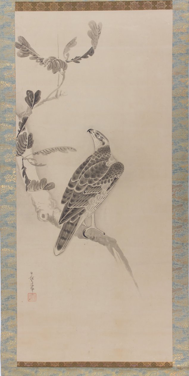 Hawks Taka zu, polovina 17. století. od Soga Nichokuan