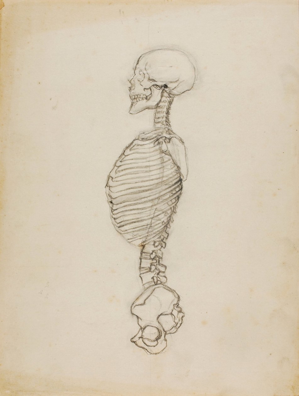 Anatomie od Solon H. Borglum