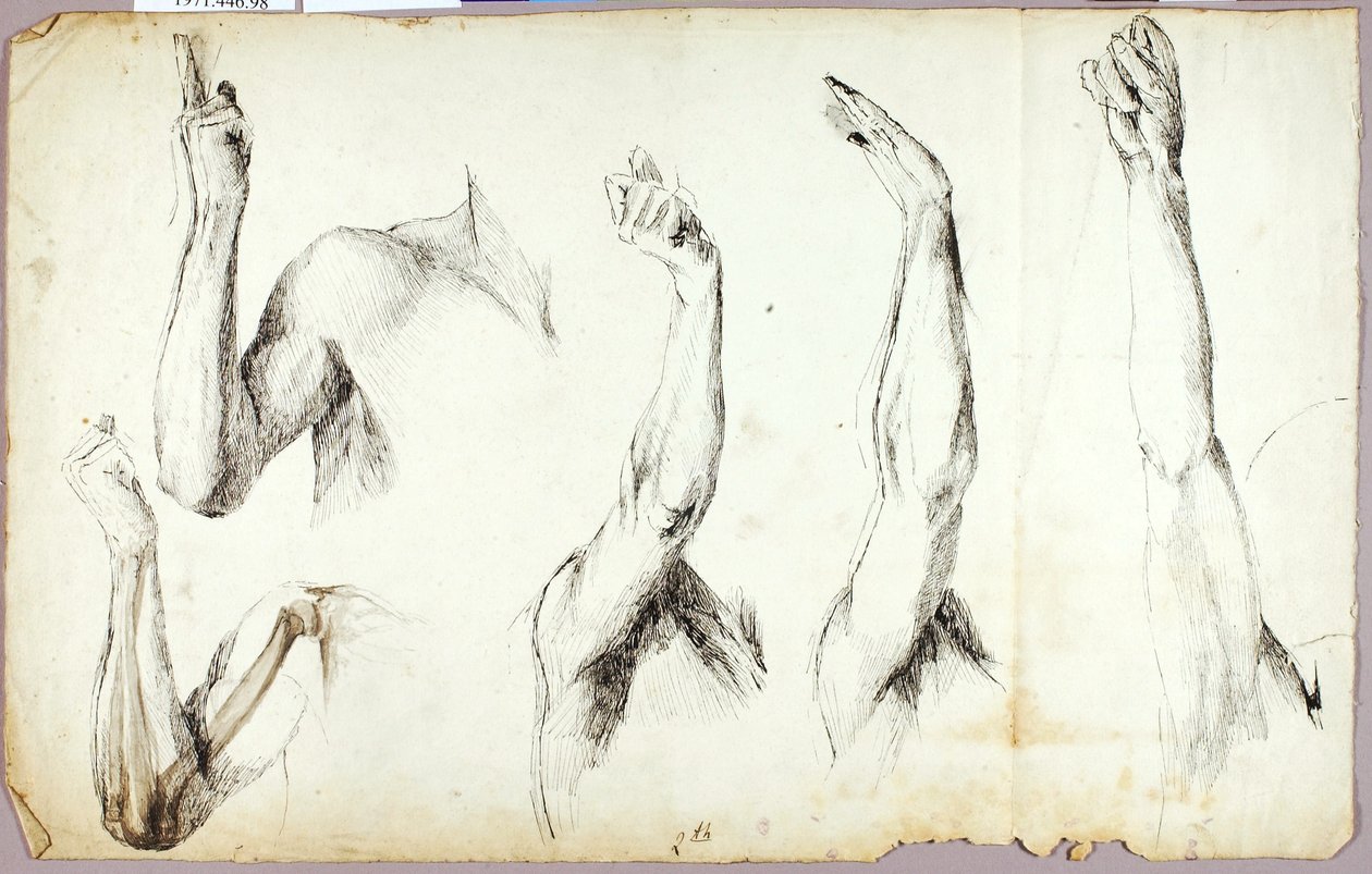 Studie paže, #2 od Solon H. Borglum