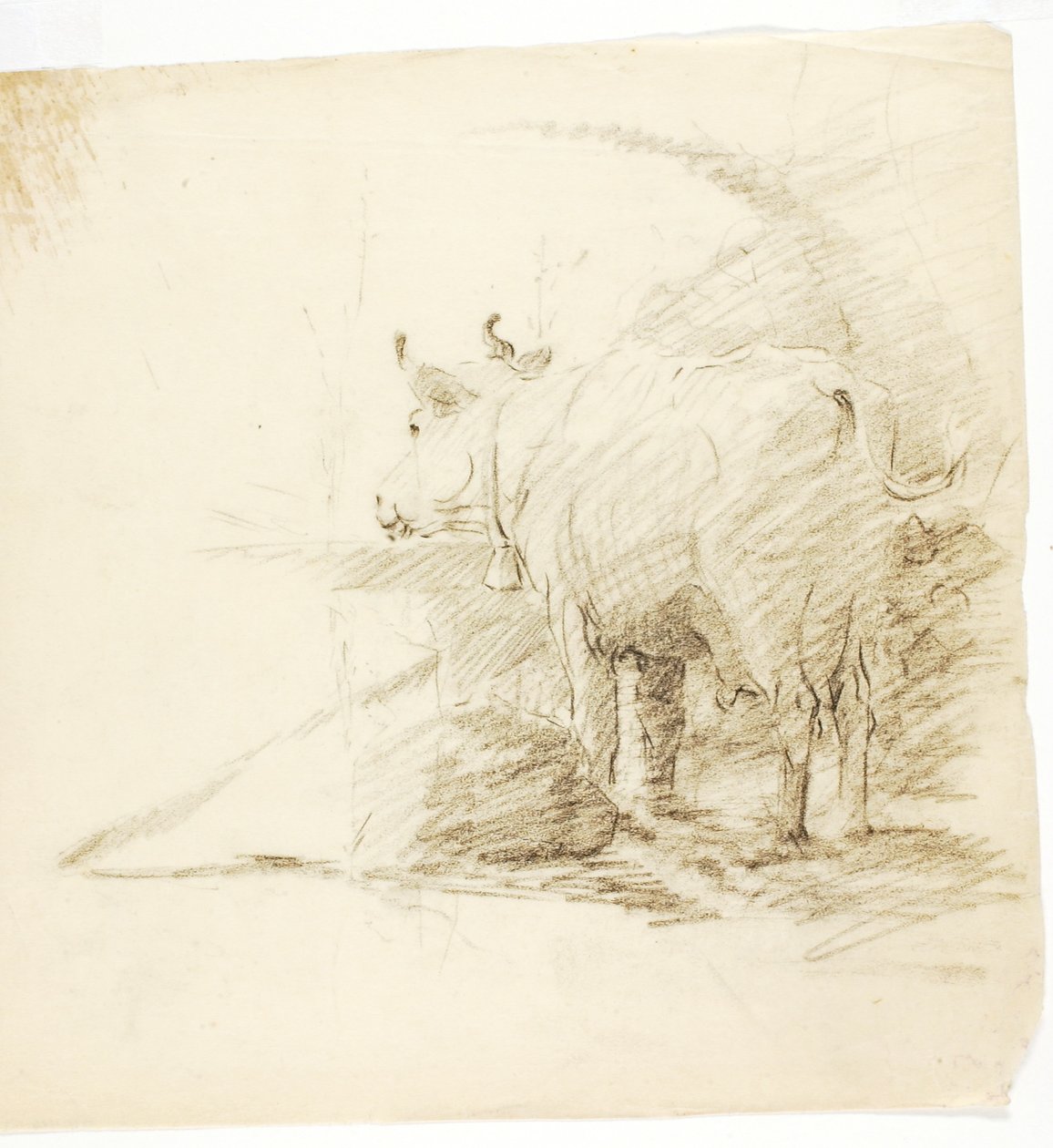 Kráva od Solon H. Borglum