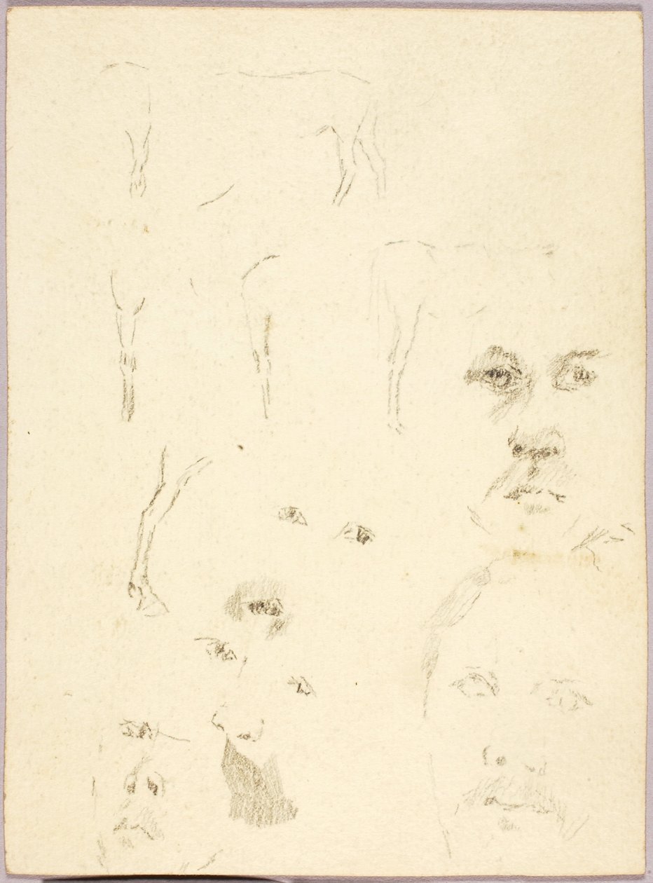 Tváře od Solon H. Borglum