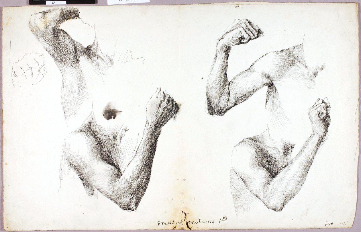 Studie čtyř paží, #1 od Solon H. Borglum