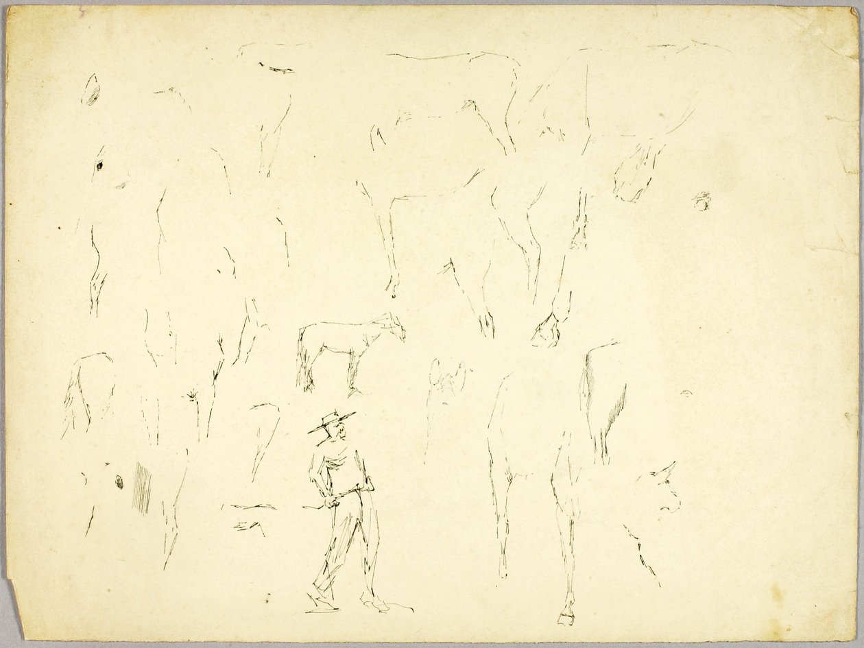 Studie koní od Solon H. Borglum