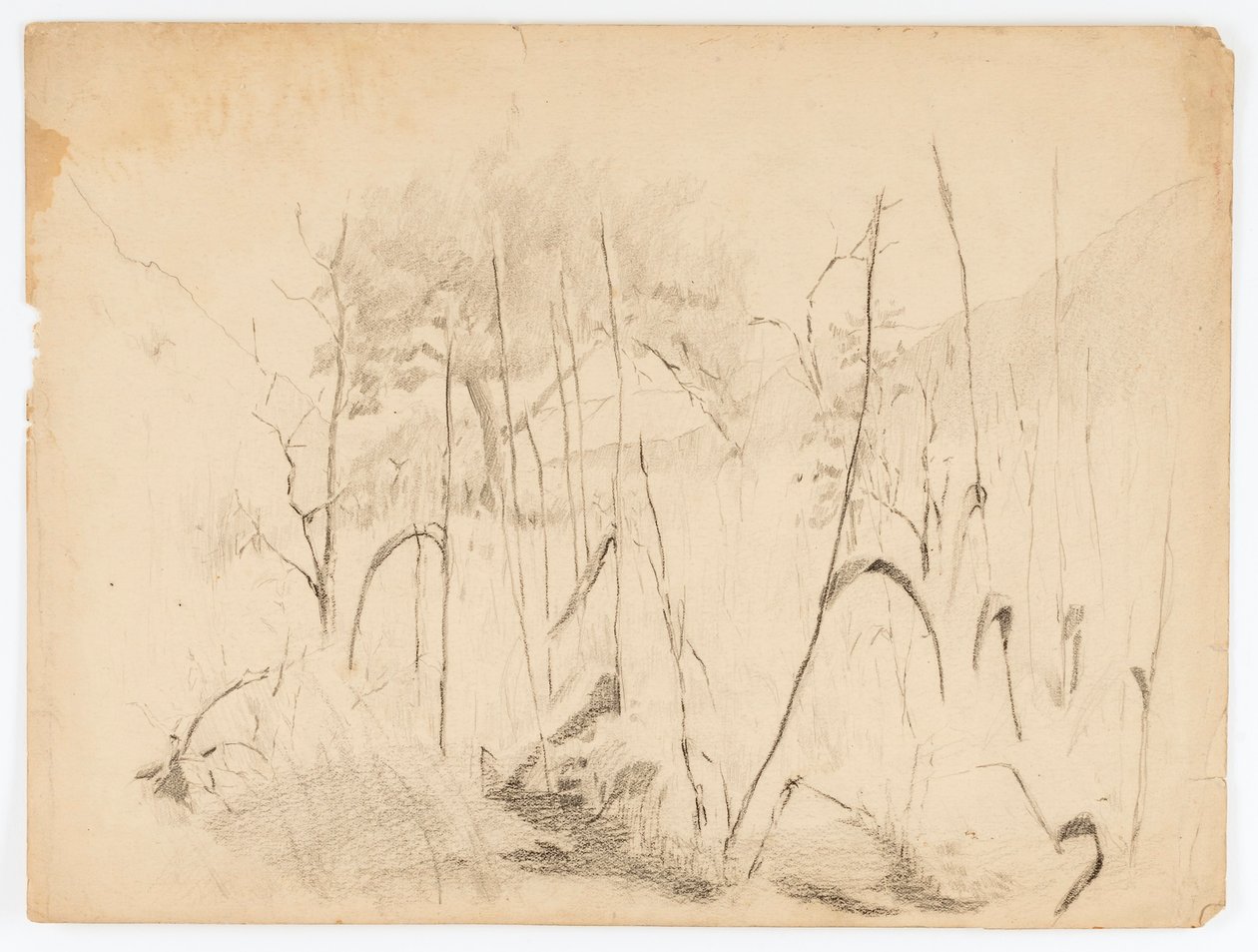 Krajina od Solon H. Borglum