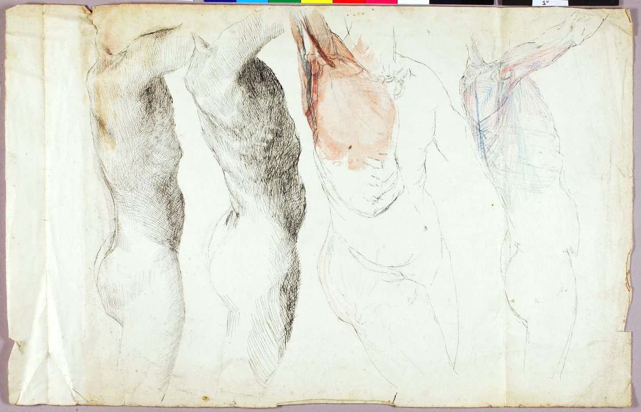 Studie aktů od Solon H. Borglum