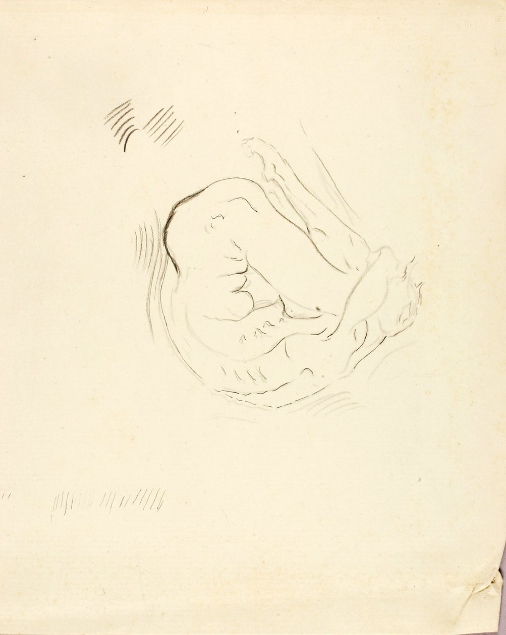 Plavec od Solon H. Borglum