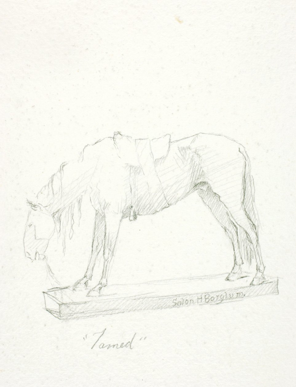 Zkrocený od Solon H. Borglum