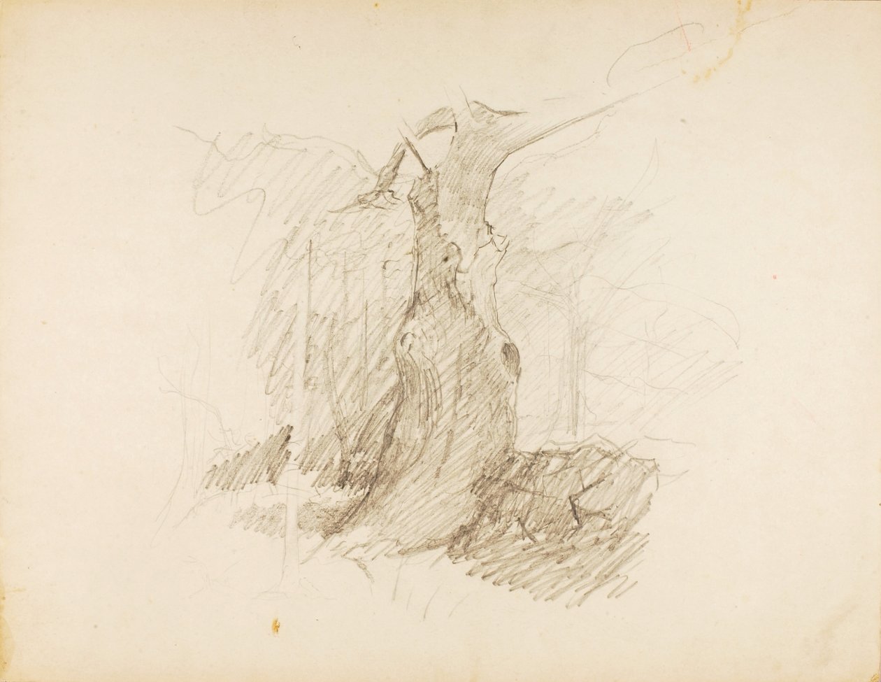 Bez názvu od Solon H. Borglum