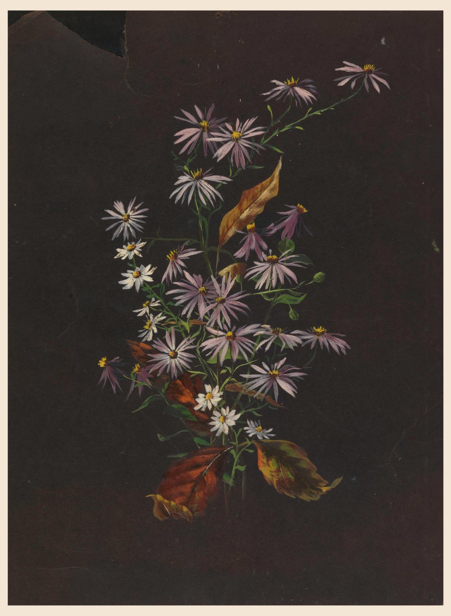 Podzimní kytice, ca. 1890 od Sophia L. Crownfield