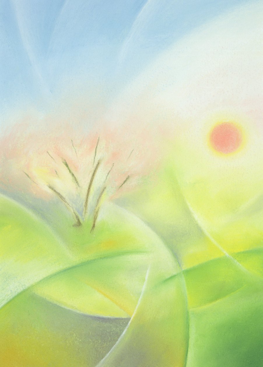 Spring od Sophie Hacker