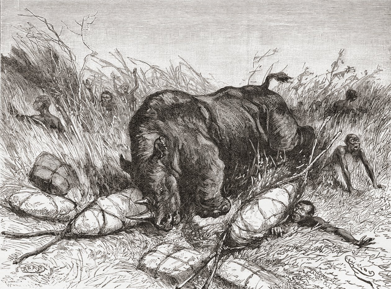 Nosorožec útočí na expedici, z „Africa Pintoresca“, vydáno 1888 od Spanish School