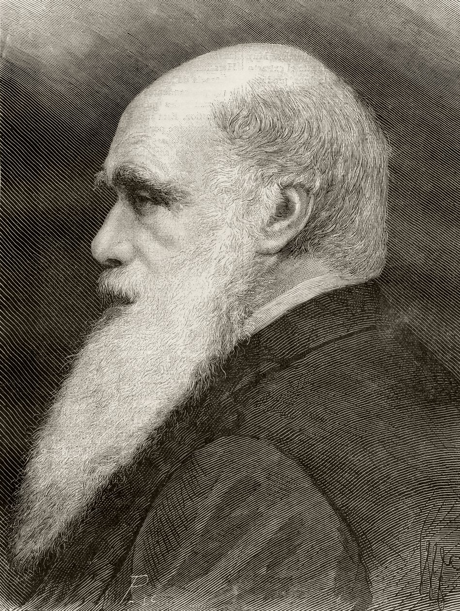 Charles Darwin, z ‚Nuestro Siglo‘, publikoval Barcelona, 1883 od Spanish School