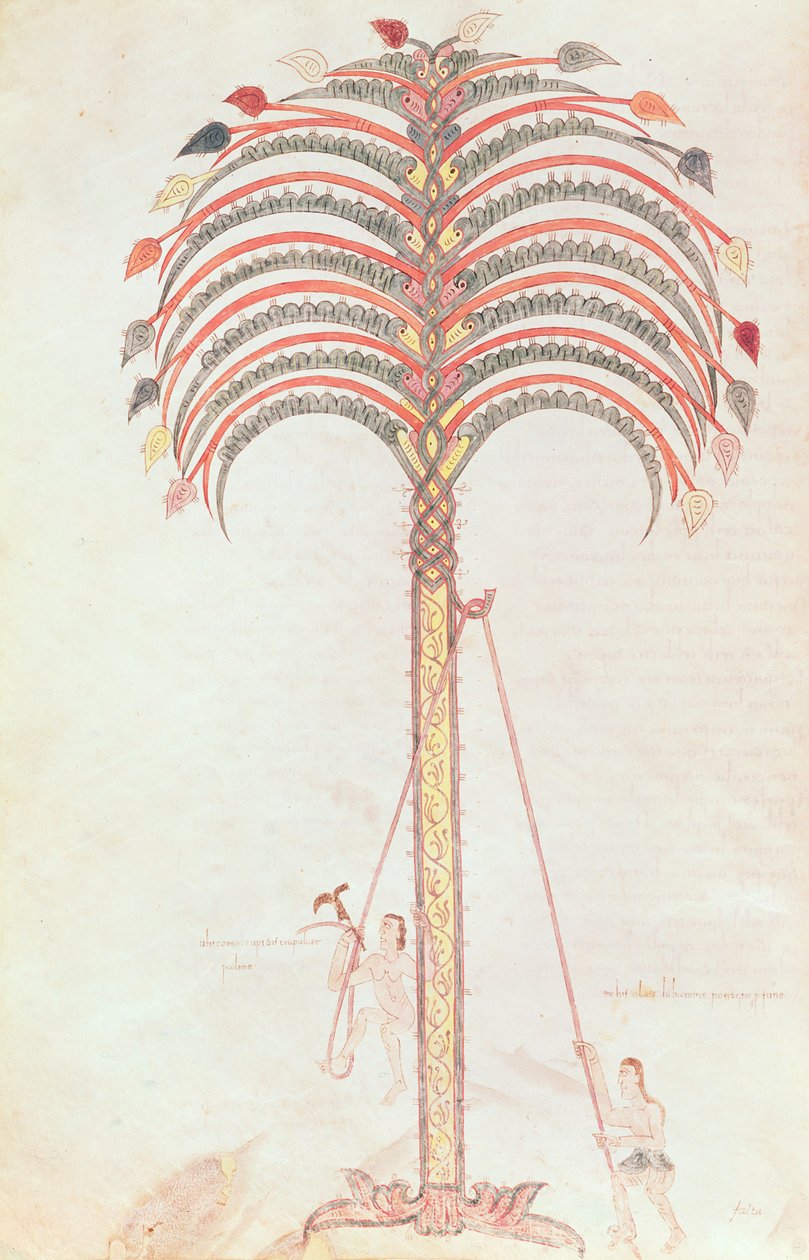 Fol.147v Metafora palmy, z Girona Beatus od Spanish School