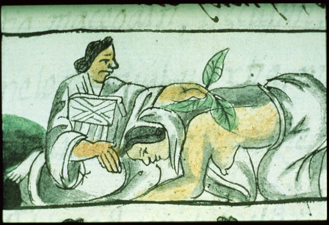 paní Palatová. 218-220 Kniha IX Aztécká porodní asistentka podávající bylinky ženě po porodu, z „Florentinského kodexu“ od Bernardina de Sahagun, kolem 1540-85 od Spanish School