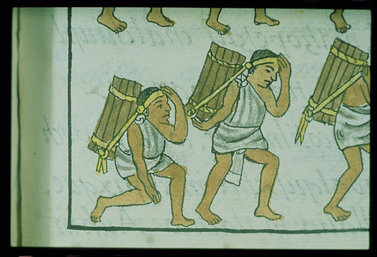 Paní Palatová. 218-220 Kniha IX Aztéčtí nosiči, z "Florentského kodexu" od Bernardina de Sahagun, asi 1540-85 od Spanish School