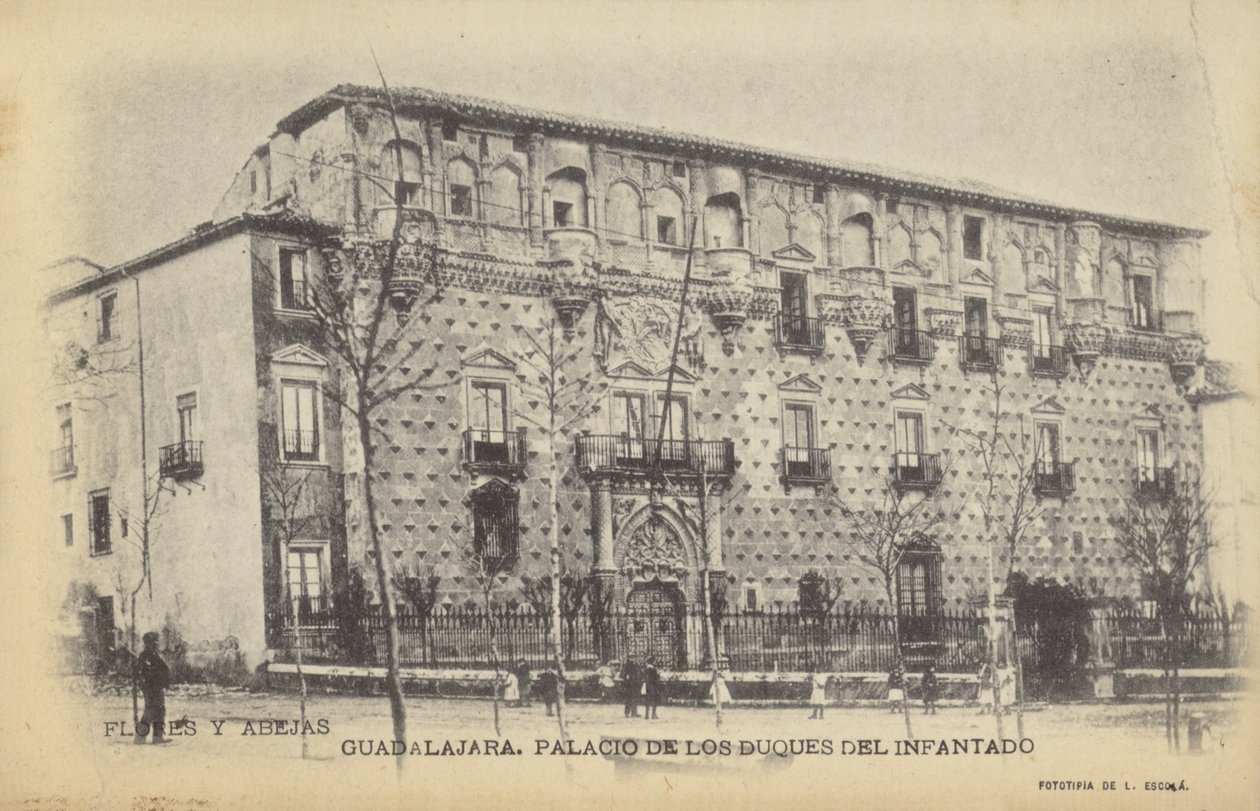 Palacio del Infantado, Gudalajara, Španělsko (čb fotografie) od Spanish Photographer