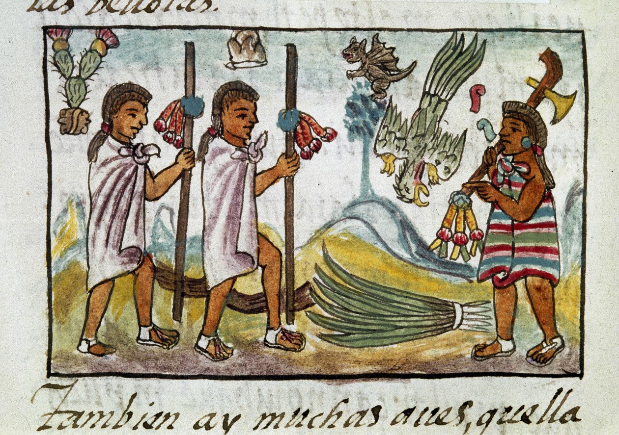 Kodex o dobytí Mexika: kupci převlečení v Tzinacantlanu. Miniatura florentského rukopisu "Storia degli Aztechi" (Dějiny Aztéků) od Bernardina de Sahaguna. od Spanish School