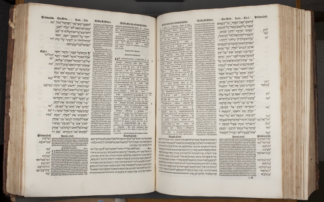 Complutensian Polyglot Bible, tisk Arnao Guillen de Brocar (rytina) od Spanish School