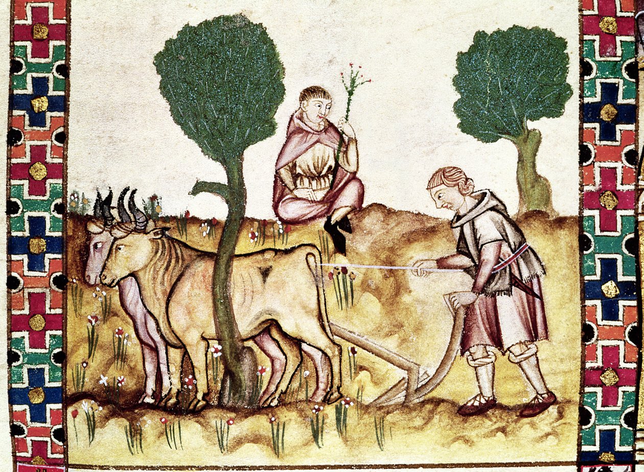 Fol.237r Farmář učící svého syna orat pole od Spanish School