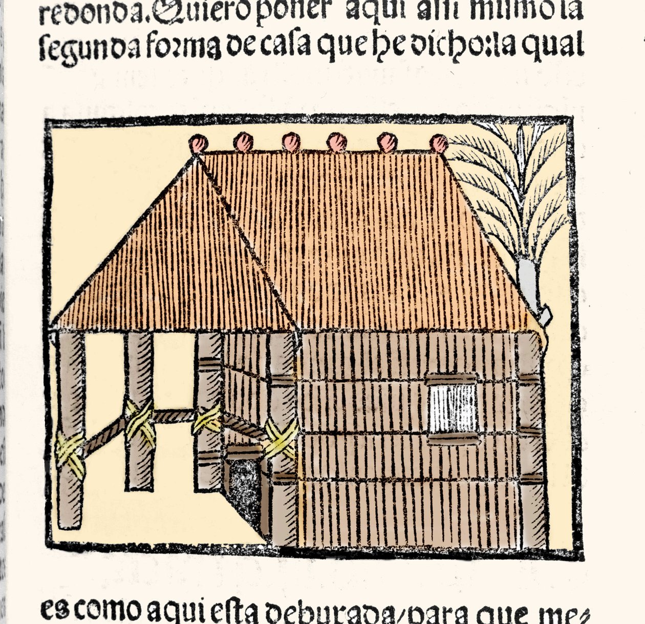 Habitat: popis Hut Indians. Rytina z knihy „Obecné dějiny Indie, ostrovů a pevniny oceánského moře““ od Gonzala Fernandeze de Oviedo nebo Hernandeze de Oviedo y Valdes (1478-1557) od Spanish School