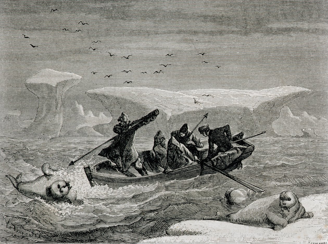 Lov mrožů s harpunami na Špicberkách, souostroví Svalbard, ilustrace z „Návratu do světa“, 1865 od Spanish School