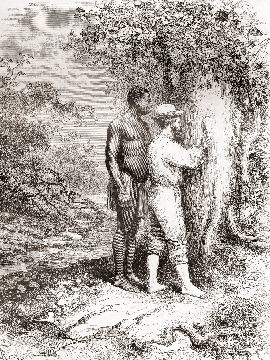 Jules Crevaux, během svého průzkumu Francouzské Guyany v roce 1878, vyřezával své iniciály na strom na břehu řeky Oyapock nebo Oiapoque od Spanish School