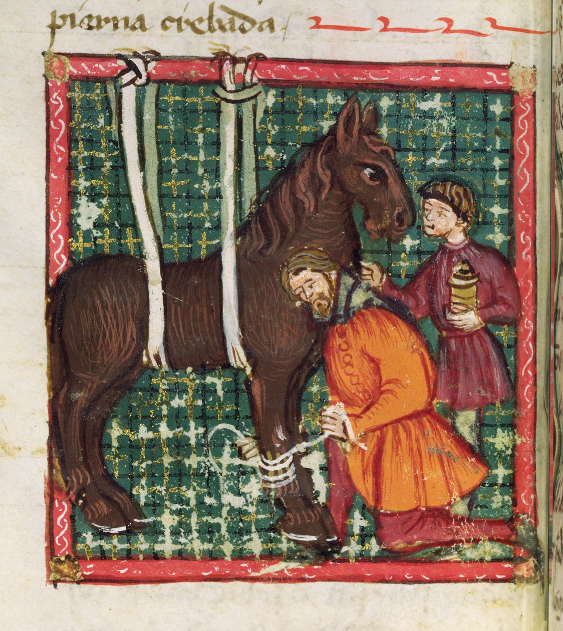 Ms 214 fol.31v Oprava zlomeniny záprstní kosti koně, z Libro de Menescalcia y Albeyteria od Juana Alvareze, kolem 1390 od Spanish School